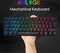 RK Royal Kludge RK61 60% Wireless, schwarz, LEDs RGB, Gateron RED, USB/Bluetooth, DE Vorschaubild