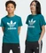 adidas Trefoil T-Shirt kurzarm legacy teal (Junior) Vorschaubild