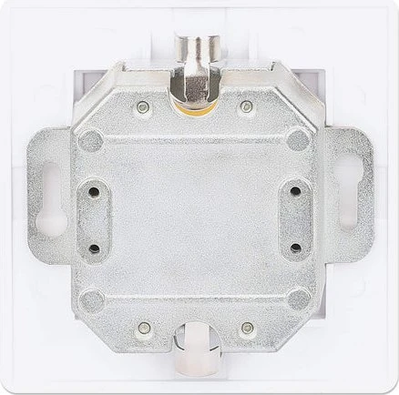 Intellinet 2-Port Cat6 10G RJ45-Netzwerkdose, geschirmt