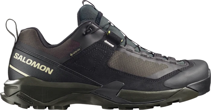 Salomon X Ultra Alpine GTX black/peat/aspargus green (Herren)