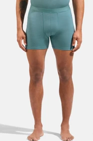 Odlo Natural Merino 160 Boxer Briefs arctic (Herren)