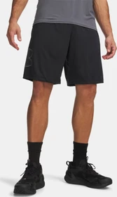 Under Armour Tech Grafik Hose kurz black/graphite (Herren)