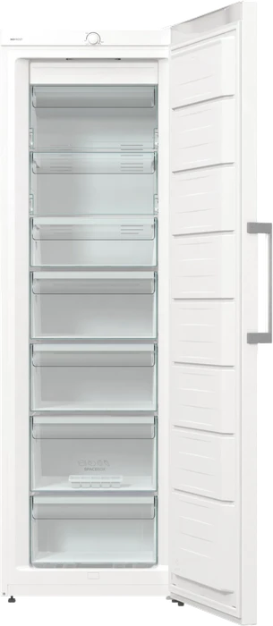 Gorenje FN619EEW5