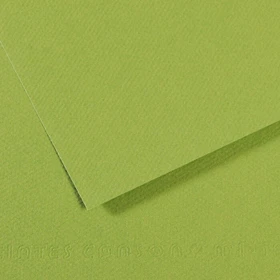 Canson Mi-Teintes Zeichenpapier, 500x650mm, glatt, grün, 10 Blatt