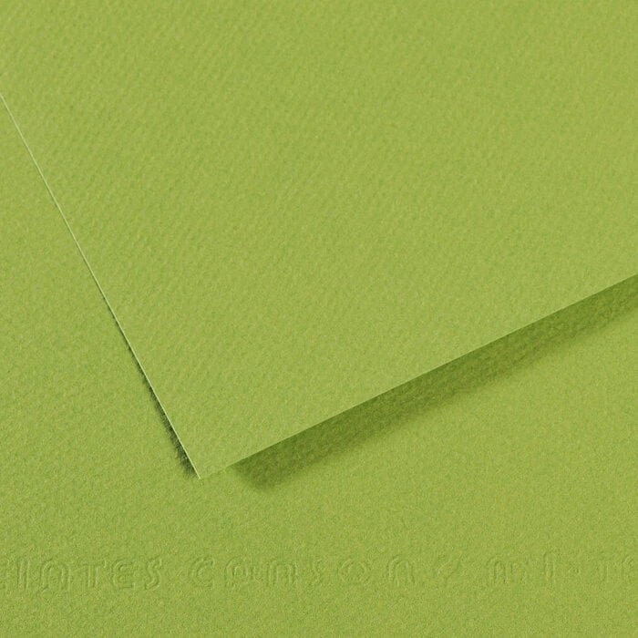 Canson Mi-Teintes Zeichenpapier, 500x650mm, glatt, grün, 10 Blatt