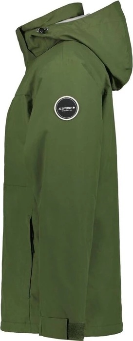 Icepeak Alston Funktionsjacke grün (Herren)