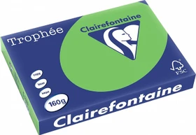 Clairefontaine Trophée Universalpapier matt maigrün, A3, 160g/m², 250 Blatt