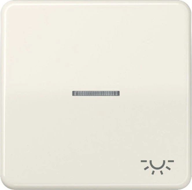 Jung Serie CD Wippe Duroplast mit Symbol "Licht" und Lichtleiter, weiß