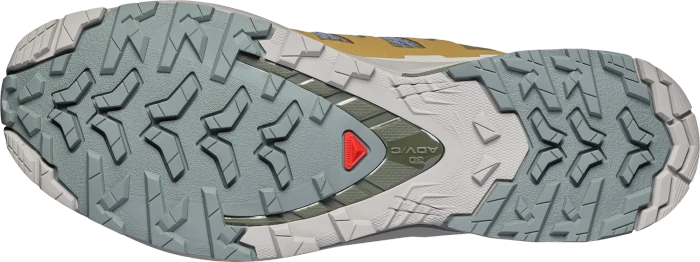 Salomon XA Pro 3D V9 sedona sage/brilliant olive/paloma (Herren)
