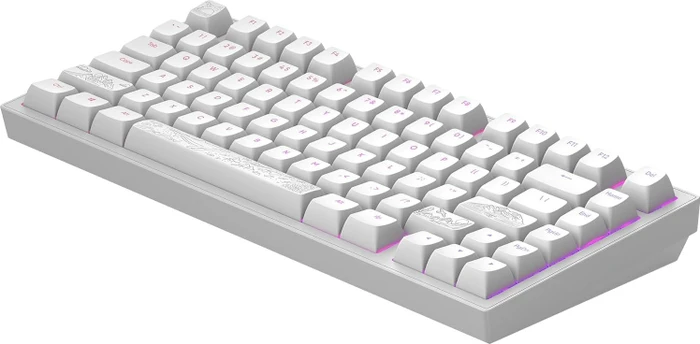 Dark Project ALU81A Terra Nostra Gaming Keyboard, weiß, LEDs RGB, g3ms Moonstone, USB, US