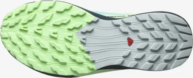 Salomon Sense Ride 5 GTX blue radiance/green ash/india ink (Damen)