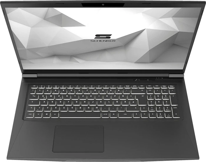Schenker Media 17-E20fxp E20fxp, Core i7-10750H, 16GB RAM, 1TB SSD, GeForce RTX 2060, DE
