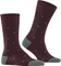 Falke Dot Socken barolo (Herren) Vorschaubild