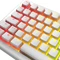 Glorious Aura V3 Keycaps, Kunststoff (PBT) Double-Shot, weiß/transparent, 131 Tasten, ISO-DE Vorschaubild