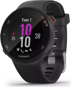 Garmin Forerunner 45S schwarz (010-02156-12)