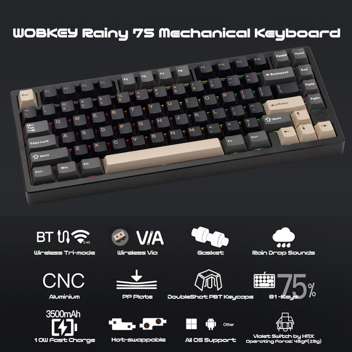 Wobkey Rainy 75 Standard, schwarz, LEDs RGB, HMX Violet Linear, USB/Bluetooth, US