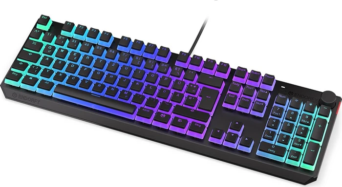 Endorfy Thock Pudding, PBT, LEDs RGB, Kailh RED, USB, DE