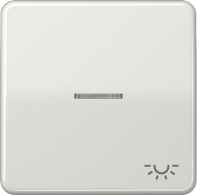 Jung Serie CD Wippe Duroplast mit Symbol "Licht" und Lichtleiter, lichtgrau