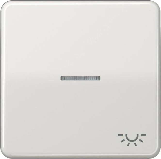 Jung Serie CD Wippe Duroplast mit Symbol "Licht" und Lichtleiter, lichtgrau