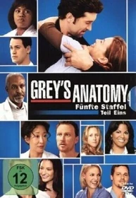 Grey's Anatomy - Die jungen Ärzte Season 5.1 (DVD)