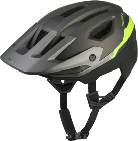 Alpina Rootage 2 MIPS Helm gun black neon
