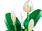 LEGO Botanicals - Friedenslilie Vorschaubild