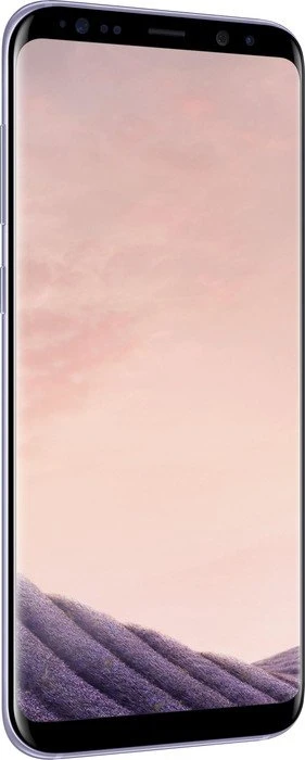 Samsung Galaxy S8+ G955F grau