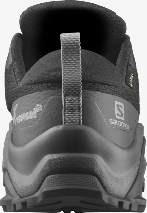 Salomon X Raise 2 GTX black/magnet/quarry (Herren)