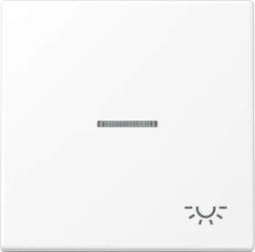 Jung Serie LS Wippe mit Lichtleiter Symbol Licht 1fach, schneeweiß matt