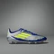 adidas F50 Elite Messi FG silver metallic/solar yellow/lucid blue Vorschaubild