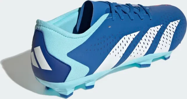 adidas Predator Accuracy.3 Low FG bright royal/cloud white/bliss blue
