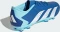 adidas Predator Accuracy.3 Low FG bright royal/cloud white/bliss blue Vorschaubild