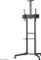 Neomounts FL50-550BL1 Vorschaubild