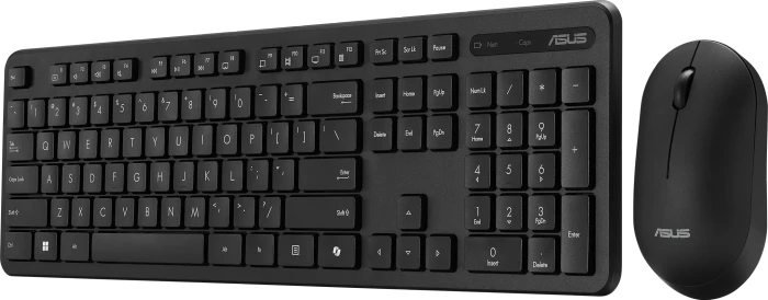 ASUS CW100 Wireless Keyboard and Mouse Set, mit Copilot-Taste, schwarz, USB, DE