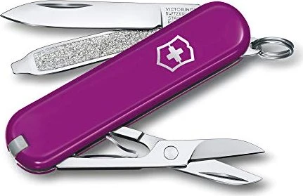 Victorinox Classic SD Taschenmesser tasty grape