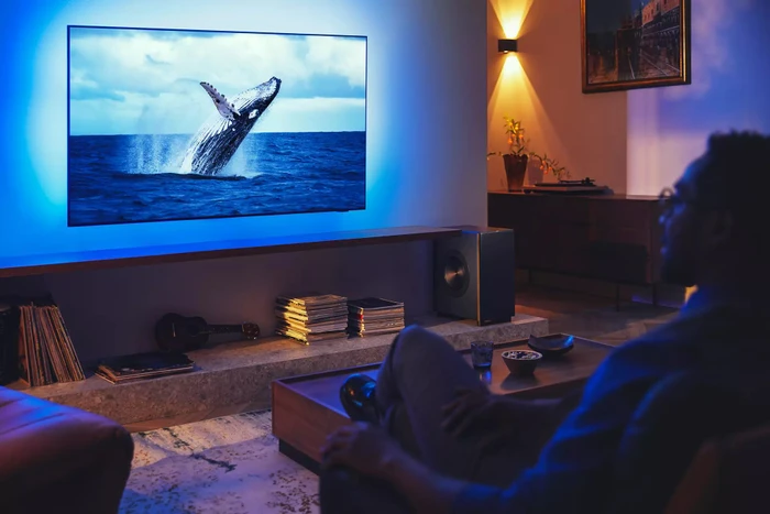 Philips Fidelio FW1