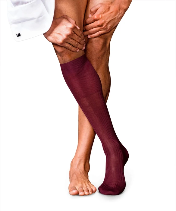 Falke No. 10 Pure Fil d'Écosse Socken barolo (Herren)