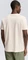 Tom Tailor Basic mit Logo-Print T-Shirt kurzarm macaroon cream (Herren) Vorschaubild