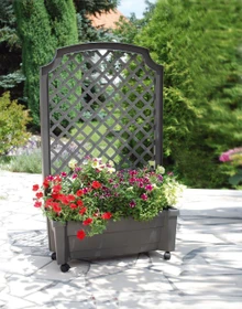 KHW Calypso Pflanzkasten mit Spalier 79x35cm anthrazit