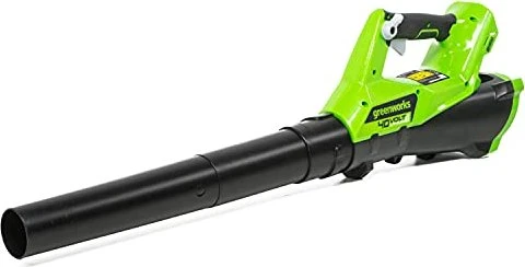 Greenworks Tools G40AB Akku-Laubbläser solo