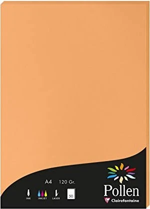 Clairefontaine Pollen Universalpapier clementine, A4, 120g/m², 50 Blatt