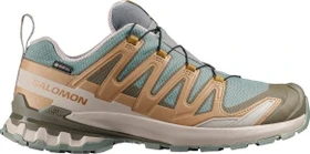 Salomon XA Pro 3D V9 GTX Equipe sedona sage/brilliant olive/paloma (Herren)
