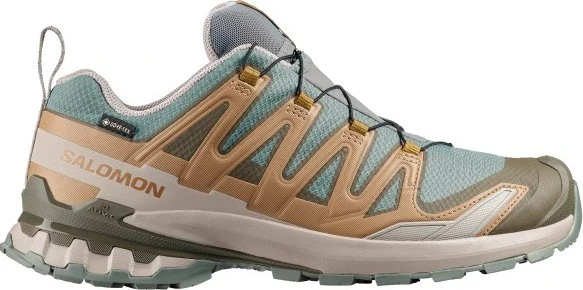 Salomon XA Pro 3D V9 GTX Equipe sedona sage/brilliant olive/paloma (Herren)