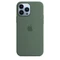 Apple Silikon Case mit MagSafe für iPhone 13 Pro Max Eukalyptus Vorschaubild