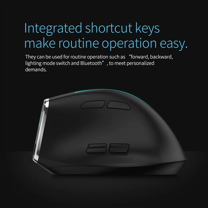 Zelotes F-36 Vertical Dual-Mode Wireless Mouse, schwarz, USB/Bluetooth