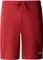 The North Face Graphic Light Shorts kurz (Herren) Vorschaubild