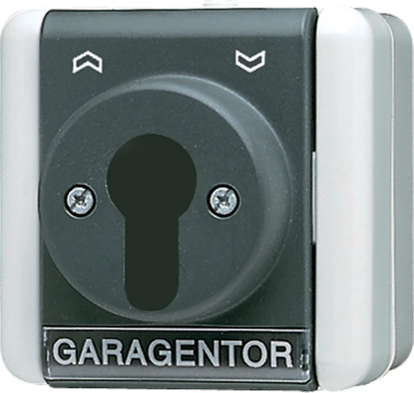 Jung WG 800 Schlüsselschalter 10A 250V