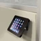StarTech Tablet Stand mit Diebstahlschutz, Tablet-Stand bis 9.7" Vorschaubild