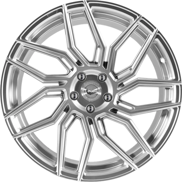 Barracuda Wheels Dragoon