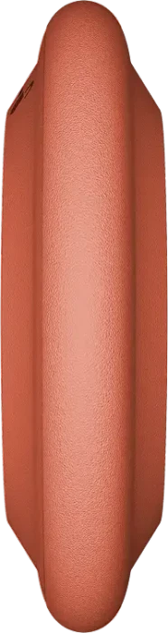 Motorola Moto Tag 2 PANTONE arabesque